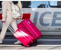 Bild: Christoph Schmidt/dpa
Wer mit dem Zug verreist, soll nach den Plänen der EU-Kommission auch bei Fahrten unterschiedlicher Unternehmen bei Ausfällen gut geschützt sein. (Symbolbild)