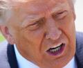 Bild: Jacquelyn Martin/AP/dpa
Trump provoziert erneut mit einem Post - im Fokus: Venezuela.