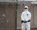 Bild: AP/dpa
Beim Kontakt mit dem Hantavirus sollte ein Schutzanzug Pflicht sein.