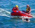 Bild: Jens Büttner/dpa-Zentralbild/ZB
Die DLRG-Rettungsschwimmer retten im vergangenen Jahr wieder vielen Menschen das Leben. (Archivbild)