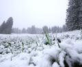 Bild: Karl-Josef Hildenbrand/dpa
In höheren Lagen ist noch einmal Neuschnee gefallen. Und es bleibt weiter kühl.