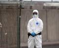 Bild: AP/dpa
Der Ausbruch ist aus Sicht der WHO unter Kontrolle. (Archivbild)