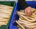 Bild: Jens Kalaene/dpa
Derzeit bekommen Verbraucher Spargel so günstig wie sonst nicht in der Saison. (Archivbild)