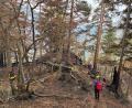 Bild: Alexander Renner, Bergwacht Bayern
Beim Katastrophenfall aufgrund des Bergwaldbrandes in Ruhpolding sind Einsatzkräfte aus der Oberpfalz, vor allem aus dem Landkreis Amberg-Sulzbach mehrere Tage im Einsatz.