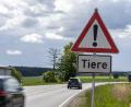 Bild: Roland Wellenhoefer
Am Ortsausgang von Kastl bei Kemnath macht dieses Warnschild "Tiere" die Verkehrsteilnehmer auf die ausgebüxten Rinder aufmerksam.