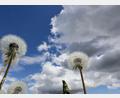 Bild: Thomas Warnack/dpa
Am Dienstag erwartet Bayern vielerorts ein Sonne-Wolken-Mix. (Symbolbild)