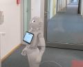 Bild: Steffen Hamm/OTH
Ein Roboter an der OTH Amberg-Weiden. Die Hochschule dürfte eine Rolle dabei spielen, dass Weiden bei Unternehmensgründungen zuletzt gut da stand.