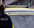 Bild: Hannes P Albert/dpa
Wenn ein Kind vermisst wird, nimmt die Polizei das niemals auf die leichte Schulter. (Illustration)