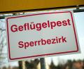 Symbolbild: Arno Burgi/dpa
Entwarnung: Solche oder ähnliche Schilder können jetzt erst einmal weg, die Sperrmaßnahmen wegen der Geflügelpest im Raum Oberviechtach sind aufgehoben.