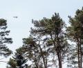 Symbolbild: Pia Bayer/dpa
Fast in der gesamten Oberpfalz sind an Pfingsten wegen hoher Waldbrandgefahr Beobachtungsflieger unterwegs.