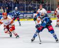 Bild: Elke Englmaier
Die Verteidiger Fabian Ribnitzky (Mitte) und Maximilian Kolb werden die Blue Devils Weiden verlassen.
