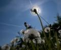 Bild: Pia Bayer/dpa
Es wird sommerlich in Bayern. (Archivbild)