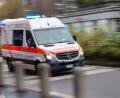 Bild: Jan Woitas/dpa
In Mecklenburg-Vorpommern ist eine Erkrankung mit dem gefährlichen Bornavirus nachgewiesen worden. Es kann nach Behördenangaben von Feldspitzmäusen auf den Menschen übertragen werden. (Symbolbild)