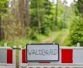 Bild: Daniel Karmann/dpa
Die Waldbrandgefahr in Bayern steigt. (Archivbild)