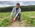 Bild: Völkl
Anton Baumann ist zufrieden: Seine Arbeit auf dem Feld trägt schöne Früchte.