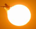Bild: Boris Roessler/dpa
Airlines verlangen weitere Entlastungen.