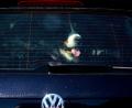 Bild: Axel Heimken/dpa
Achtung Hundebesitzer: Vierpföter sollten bei Hitze nicht im geschlossenen Auto bleiben. (Symbolbild)