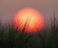 Bild: Thomas Warnack/dpa
Im Südwesten werden Temperaturen bis 34 Grad erwartet