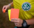 Symbolbild: Robert Michael/dpa
In der Landesliga und der Bayernliga gilt ab der Saison 2026/27 eine Sperre nach gelb-roter Karte und auch nach fünf gelben Karten - analog zu den Profis.