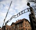 Bild: Britta Pedersen/dpa-Zentralbild/ZB
Der Schriftzug „Arbeit macht frei“ stand über den Toren mehrerer Konzentrations- und Vernichtungslager. (Symbolbild)
