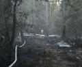 Bild: Benjamin Boml
Ein Waldbrand in Muckenbach breitete sich auf 6500 Quadratmeter aus und hinterlässt eine Spur der Verwüstung.