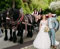 Bild: Bittermohn
Das Ehepaar Kathrin und Markus auf dem Felixberg vor dem Aufstieg in die Hochzeitskutsche zur Fahrt nach Altenstadt/WN.