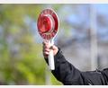 Bild: Julian Stratenschulte/dpa
Das Schaf wurde bei einer Polizeikontrolle gefunden. (Symbolbild)