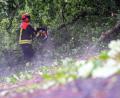 Bild: Pia Bayer/dpa
Die Feuerwehr räumt die bayerischen Straßen nach dem Unwetter wieder frei.