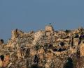 Bild: Marwan Naamani/ZUMA Press Wire/dpa
Die Kreuzritterfestung Beaufort gilt als strategisch bedeutsam.