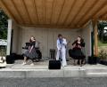 Archivbild:  Claudia Rieß
Ein Höhepunkt im Moosbacher Musiksommer ist der Auftritt von Arnold Wurm als "Elvis“ am 21. Juli.