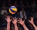 Bild: Silas Stein/dpa
Die ASV Volleys aus Dachau ziehen sich aus der Bundesliga zurück. (Archivbild)