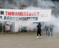 Bild: ---/dpa
Kurz nach der Protestaktion zog Felßner seine Kandidatur für das Amt des Bundesagrarministers zurück. (Archivbild)