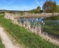 Bild: ihl
Die Langwiedteiche östlich von Nabburg sind ein wertvolles Naherholungsgebiet. An schönen Tagen hat man einen guten Blick auf Nabburg.