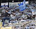 Bild: Angelika Warmuth/dpa
Die Fans des TSV 1860 München trauern. (Archivbild)