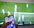 Symbolbild: Bernd Weißbrod/dpa
Nebenbei mal daddeln: Während das Fußballspiel läuft, schauen viele Zuschauer nebenbei aufs Handy.