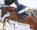 Bild: Bernd Thissen/dpa
Endlich auch deutscher Meister: Olympiasieger Christian Kukuk auf Akarad Tivoli.