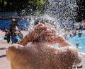 Bild: Carsten Koall/dpa
Am Montag dürfte es viele Menschen in die Freibäder des Freistaats ziehen. (Symbolbild)