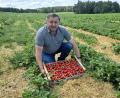 Bild: lnz
Bernhard Schedl vom gleichnamigen Betrieb in Schwarzenbach zeigt auf einem seiner Felder einen Korb voller frisch geernteter Erdbeeren: Der Landwirt hofft nach einem schlechten Vorjahresertrag auf einen guten Saisonverlauf.