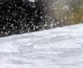 Bild: Pia Bayer/dpa
Das Wetter in Bayern wird in den kommenden Tagen schlechter. (Archivbild)