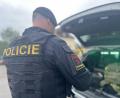 Bild: Policie ?R
Eine Woche nachdem in Kynšperk die Leiche eines Babys gefunden worden ist, äußert sich die tschechische Polizei erstmals ausführlich.