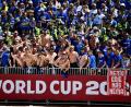 Bild: Sammy Kogan/The Canadian Press/AP/dpa
Bosnien-Fans auf der Tribüne.