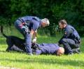 Bild: mfh
Realistische Einsatzübung: Der Hund kannte kein Pardon und stellte den Täter mit rasender Geschwindigkeit.