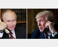 Bild: Mikhail Metzel/Pool Sputnik Kremlin/AP/dpa
Anlässlich des 80. Geburtstages von Donald Trump hat Kremlchef Wladimir Putin in Washington angerufen. (Archivbild)