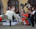 Bild: Elisabeth Dobmayer
Bei der standesamtlichen Hochzeit von Liesa Federl und Timmy Joe Schlesinger spielten Tiere natürlich eine große Rolle. Über den Pferdeparcours nahm Timmy Joe seine Braut einfach in den Arm.