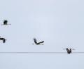 Bild: Pia Bayer/dpa
Das Wetter in Bayern stabilisiert sich.