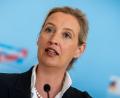 Bild: Michael Kappeler/dpa
AfD-Chefin Weidel kann sich über gute Umfragewerte freuen. (Archivbild)
