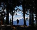 Bild: Karl-Josef Hildenbrand/dpa
In den Allgäuer Alpen will die Polizei in den kommenden Wochen verstärkt Naturschutzkontrollen durchführen. (Symbolbild)