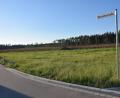 Bild: Paul Böhm
Längs der Mercedesstraße im Gewerbegebiet Schafhof-Ost der Gemeinde Ebermannsdorf soll eine neue Gewerbehalle gebaut werden. Bauherr ist die P3-Logistik Park GmbH mit 66.330 Quadratmetern Nutzfläche. Das Grundstück selbst hat eine Größe von rund 10 Hektar.