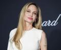 Bild: Scott A Garfitt/Invision/dpa
Oscar-Preisträgerin Angelina Jolie hat einige Familienmitglieder durch Krebs verloren. (Archivbild)