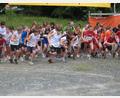 Bild: Bastian Riedl (riedl.bastian@gmx.de)
Auch die Kleinsten gehen beim Johannislauf in Schönsee wieder an den Start.